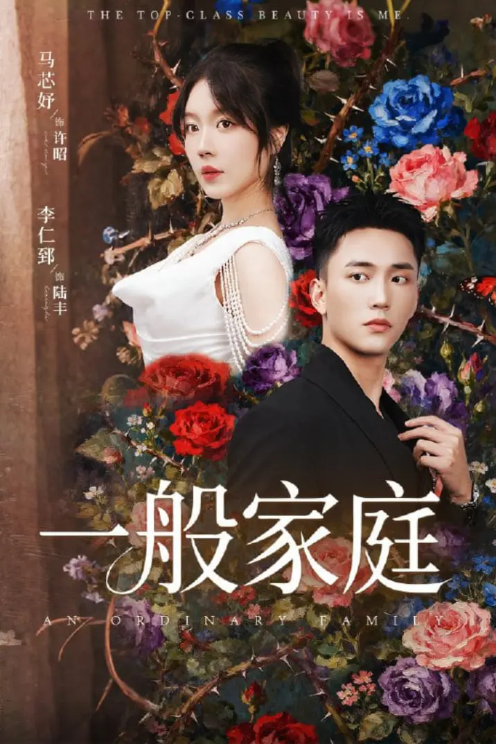 《一般家庭》：柴米油盐下的温情与挣扎，一部触动你心底的家庭成长史