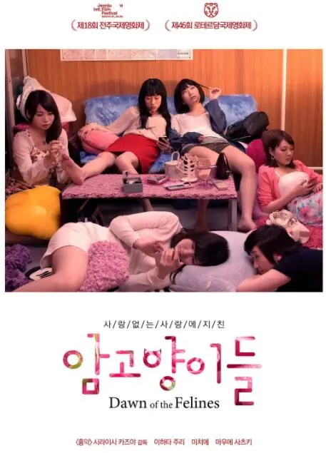 《雌猫们》：打破性别桎梏，女性力量的极致绽放，一场关于自由与选择的深刻探讨！